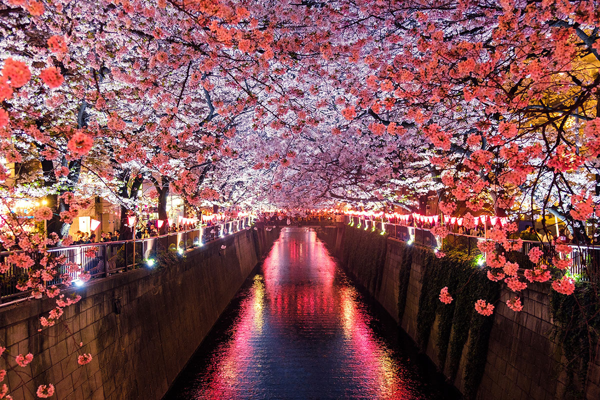 台南店